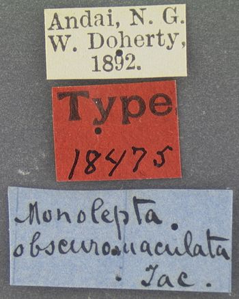 Media type: image; Entomology 18475   Aspect: labels